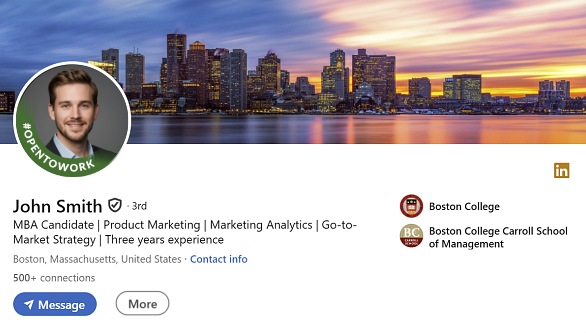 Profile preview: Verified Business Professional with 500+ connections