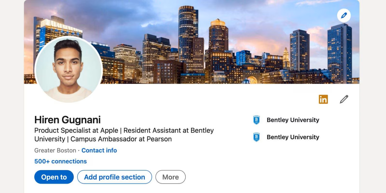 Profile preview: Tech Product Professional with 500+ connections